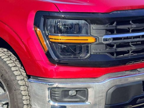 Used 2025 Ford F150 XLT w/ Equipment Group 301A Standard image 5