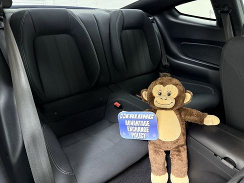 Used 2019 Ford Mustang GT w/ GT Performance Package image 20