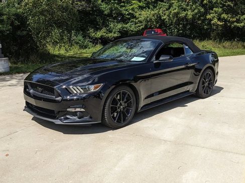 Used 2016 Ford Mustang GT Premium w/ Equipment Group 401A RWD image 7