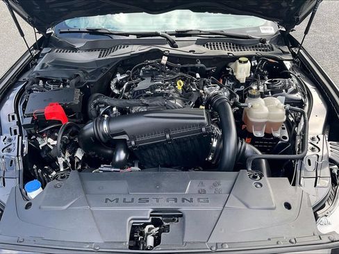 Certified 2024 Ford Mustang Premium RWD image 10
