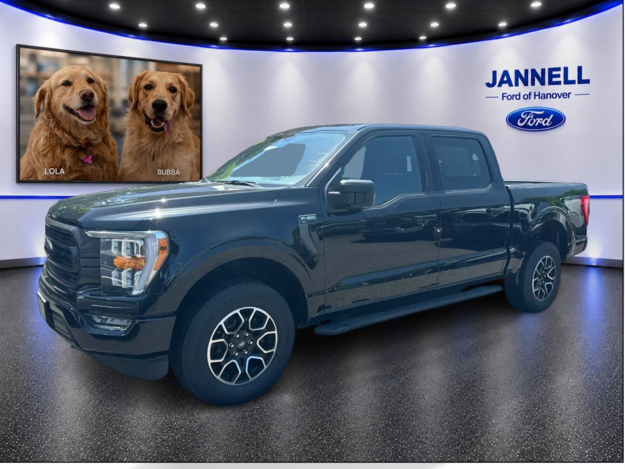 Used 2023 Ford F150 XLT w/ Equipment Group 302A High AWD/4WD image 1
