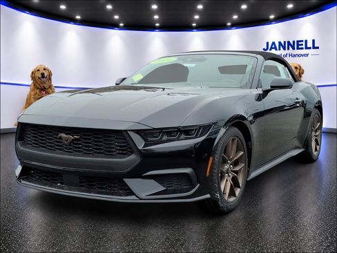 New 2026 Ford Mustang Premium RWD image 1