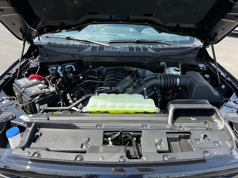 New 2025 Ford F150 XLT w/ Equipment Group 302A MID image 37