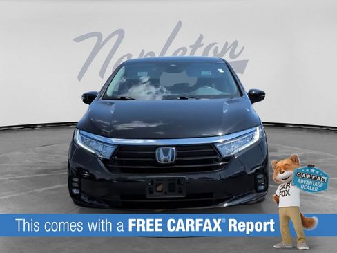Used 2024 Honda Odyssey EX-L image 2