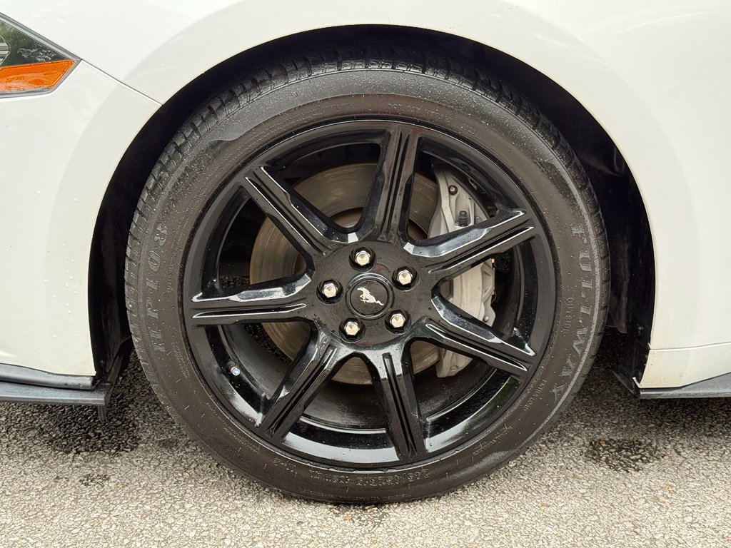 Used 2019 Ford Mustang GT w/ Black Accent Package RWD image 34