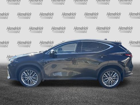 Used 2025 Lexus NX 350 AWD w/ Luxury Package image 7