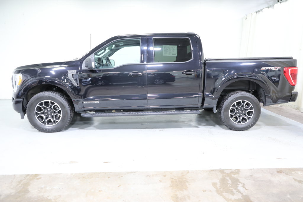 Used 2023 Ford F150 XLT w/ Equipment Group 302A High AWD/4WD image 2