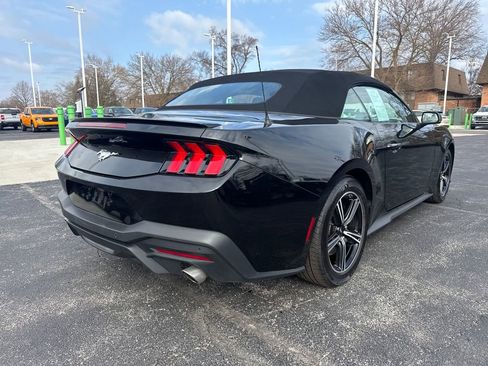 Used 2025 Ford Mustang Premium image 7