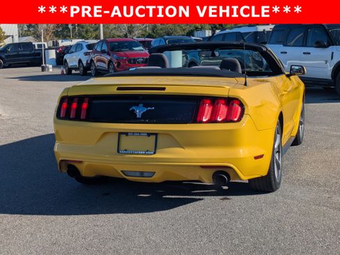 Used 2015 Ford Mustang Convertible w/ Equipment Group 051A image 4