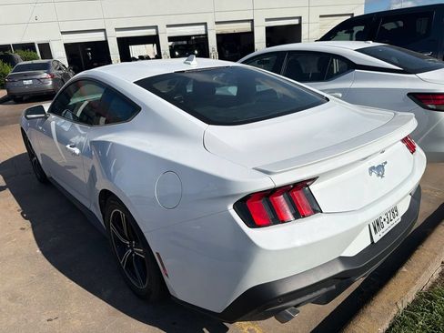 Used 2025 Ford Mustang Premium RWD image 3