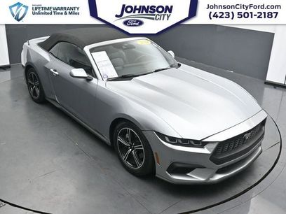 Certified 2024 Ford Mustang Premium