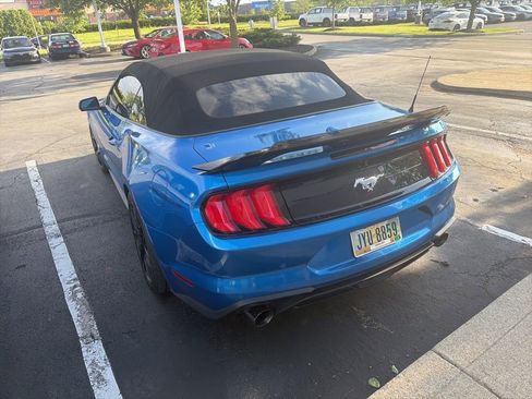 Used 2019 Ford Mustang Premium w/ Equipment Group 201A RWD image 5