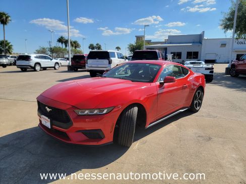 Used 2024 Ford Mustang Premium image 3