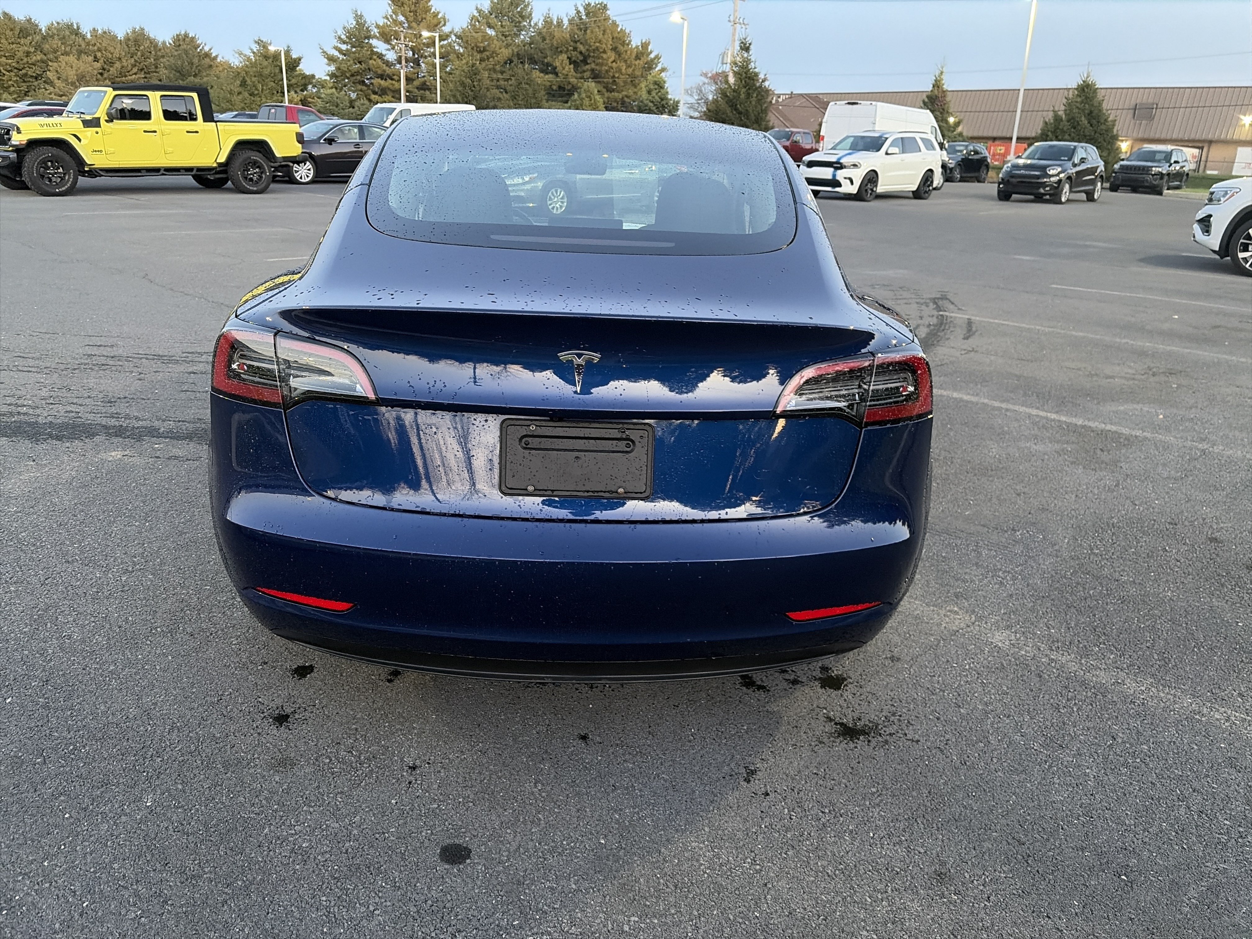 Used 2023 Tesla Model 3 Standard Range RWD image 5