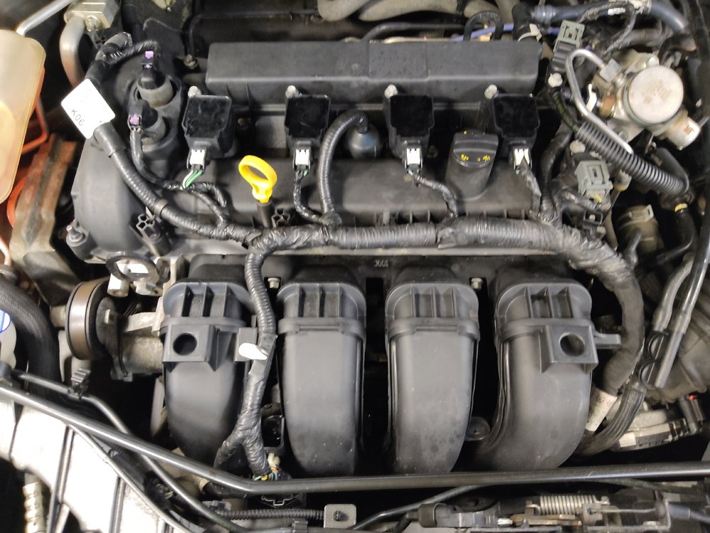 Used 2016 Ford Focus SE FWD image 30