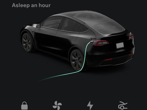 Used 2025 Tesla Model Y Long Range AWD/4WD image 81