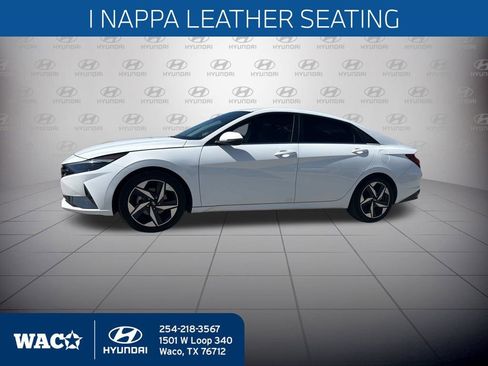 Used 2023 Hyundai Elantra Limited image 6