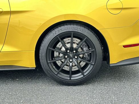 Used 2017 Ford Mustang Shelby GT350 image 15