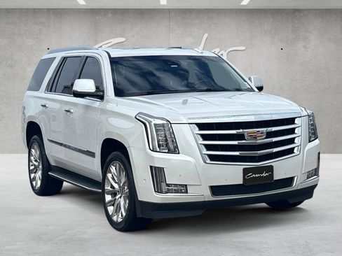 Used 2019 Cadillac Escalade Luxury image 2