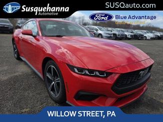 Used 2024 Ford Mustang Premium video 1