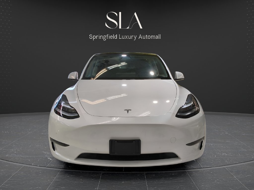 Used 2020 Tesla Model Y Long Range AWD/4WD image 2