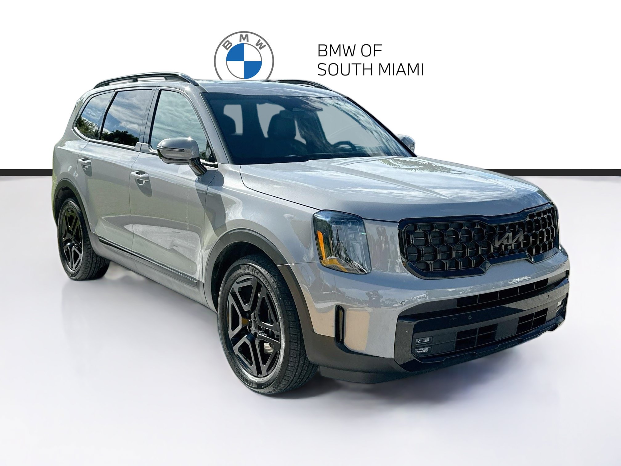Used 2025 Kia Telluride SX Prestige X-Line AWD/4WD image 1