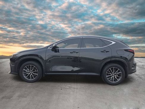 Certified 2024 Lexus NX 350 350 Premium image 5