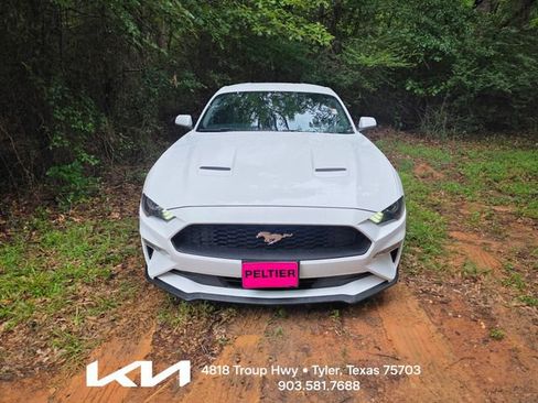 Used 2019 Ford Mustang Coupe w/ Equipment Group 101A RWD image 2