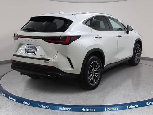 Used 2024 Lexus NX 350 AWD w/ Cold Area Package image 6