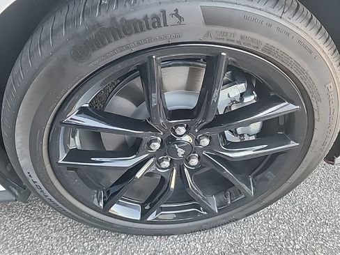 Used 2025 Ford Mustang GT w/ Mustang Nite Pony Package image 5