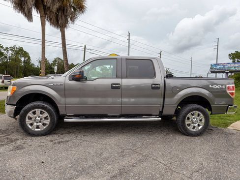Used 2010 Ford F150 Platinum AWD/4WD image 2