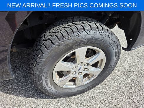 Used 2019 Ford F150 XLT w/ Equipment Group 302A Luxury AWD/4WD image 6
