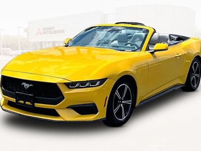 Used 2024 Ford Mustang Premium
