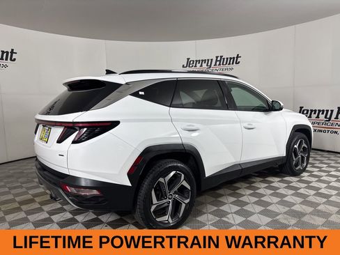 Used 2023 Hyundai Tucson Limited AWD/4WD image 5
