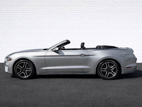 Used 2021 Ford Mustang Premium image 4