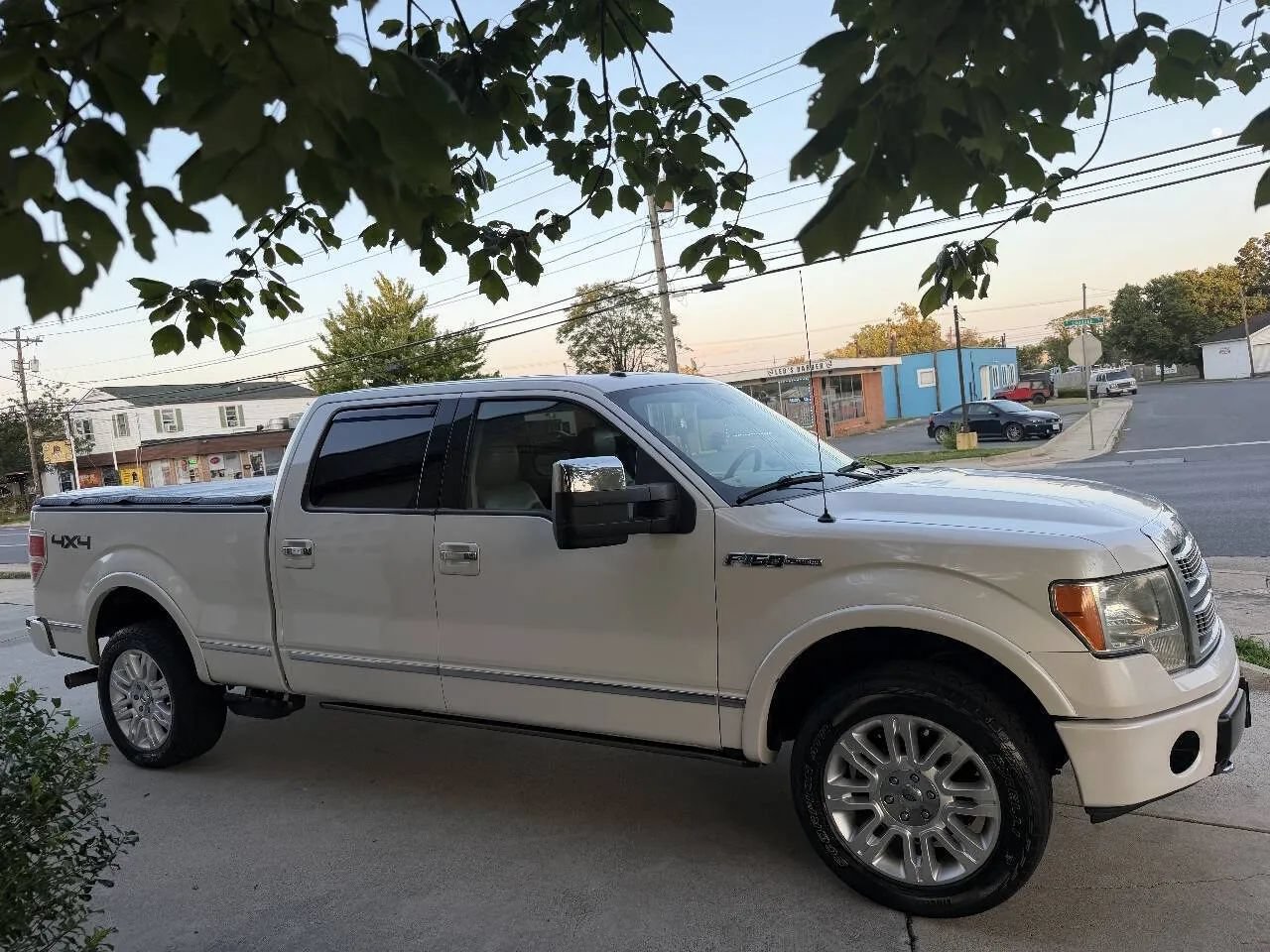 Used 2010 Ford F150 Platinum AWD/4WD image 5