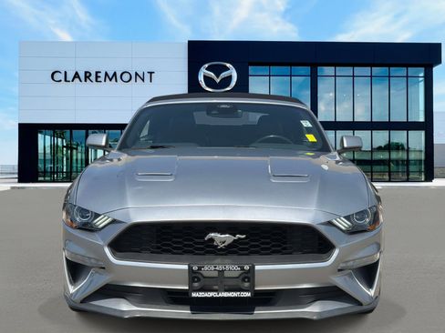 Used 2023 Ford Mustang Premium image 2