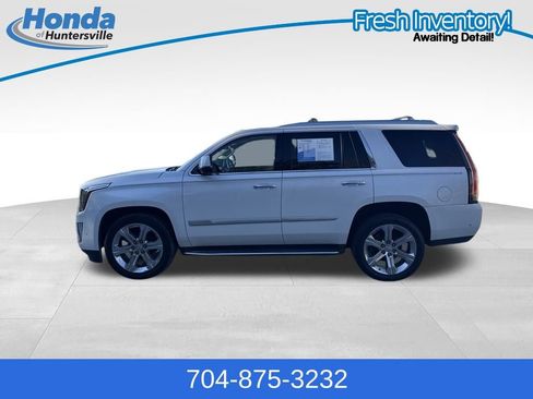 Used 2019 Cadillac Escalade Luxury image 5