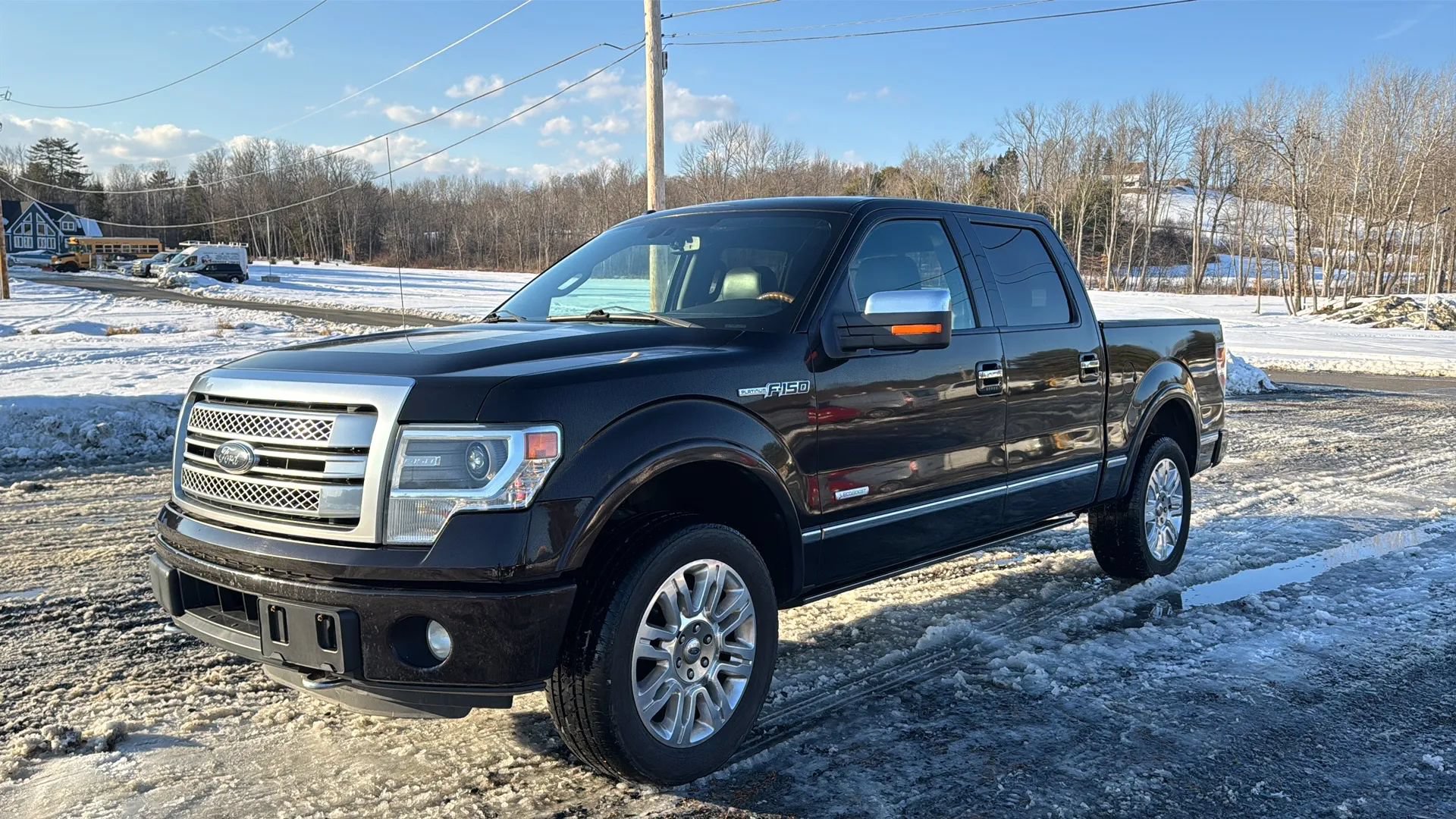 Used 2014 Ford F150 Platinum AWD/4WD image 3
