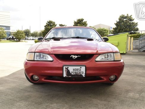 Used 1998 Ford Mustang Cobra RWD image 33