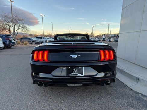 Used 2023 Ford Mustang Premium w/ Equipment Group 201A image 7