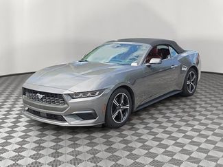 Certified 2024 Ford Mustang Premium RWD video 3