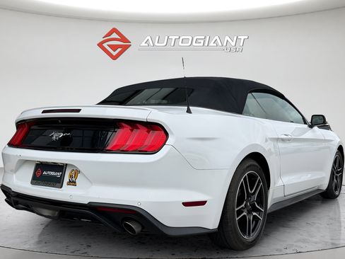 Used 2019 Ford Mustang Premium RWD image 11