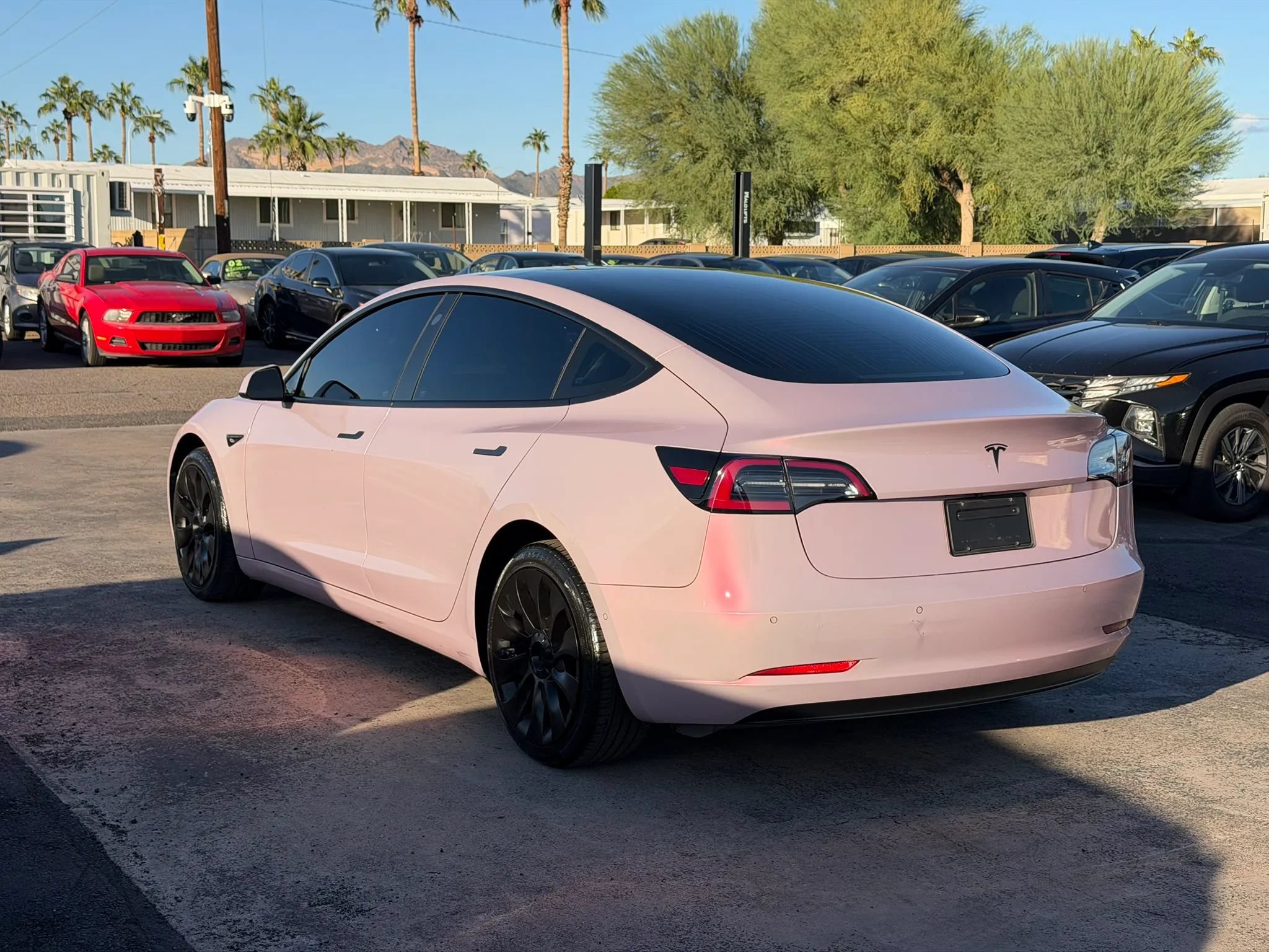 Used 2020 Tesla Model 3 Standard Range Plus RWD image 6
