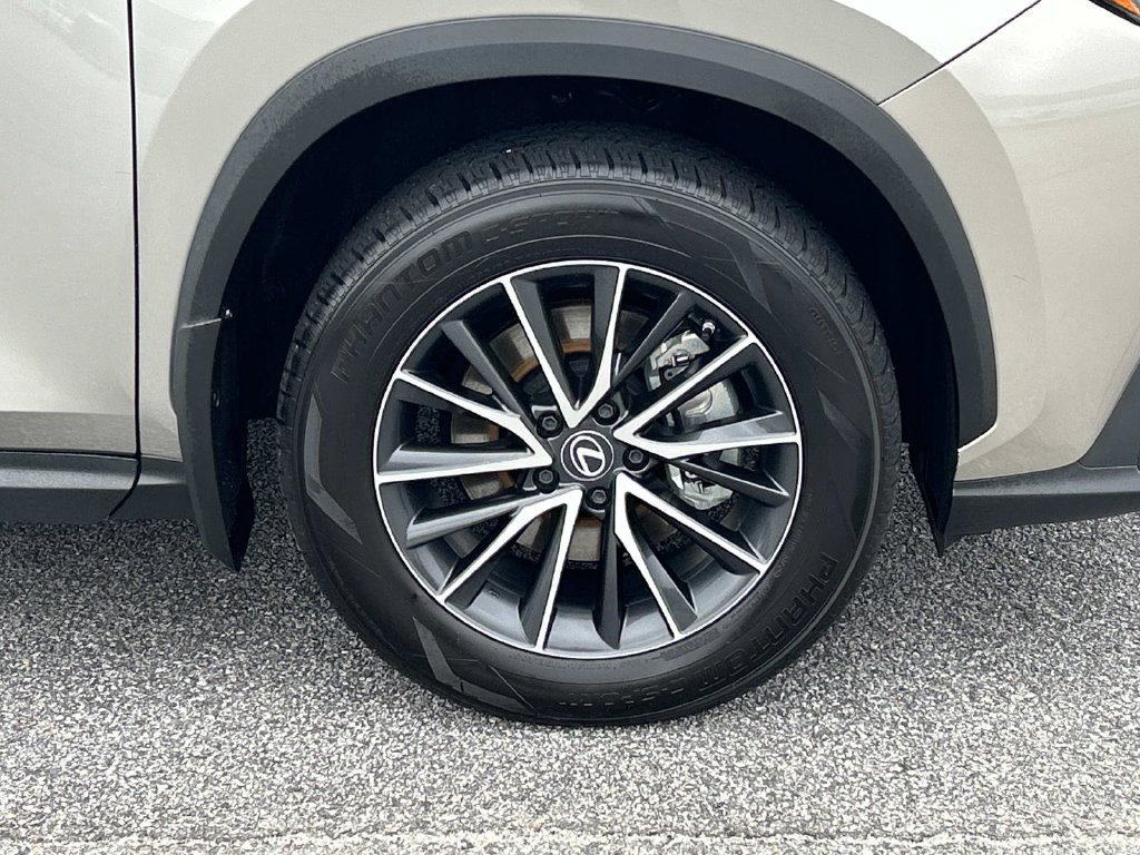 Used 2024 Lexus NX 350h AWD w/ Cold Area Package image 10