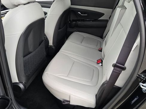 New 2025 Hyundai Santa Cruz Limited AWD/4WD image 6