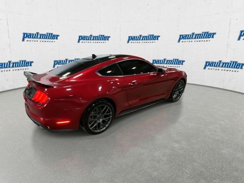 Used 2023 Ford Mustang EcoBoost w/ Equipment Group 101A image 11