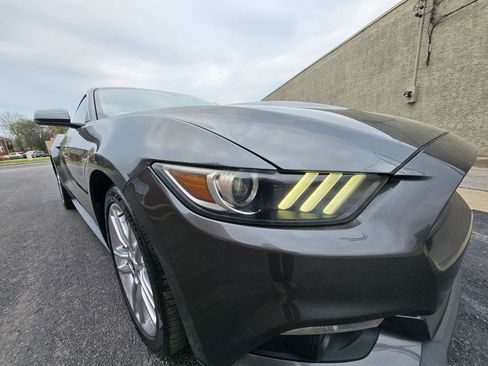 Used 2016 Ford Mustang Premium w/ Equipment Group 201A image 11