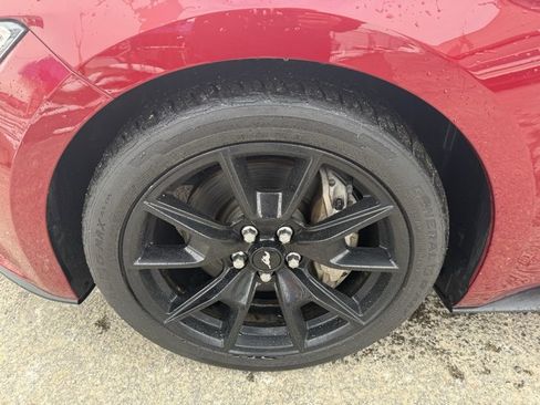 Used 2017 Ford Mustang GT Premium w/ Equipment Group 401A image 12