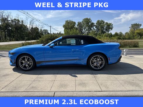 New 2025 Ford Mustang Premium image 12